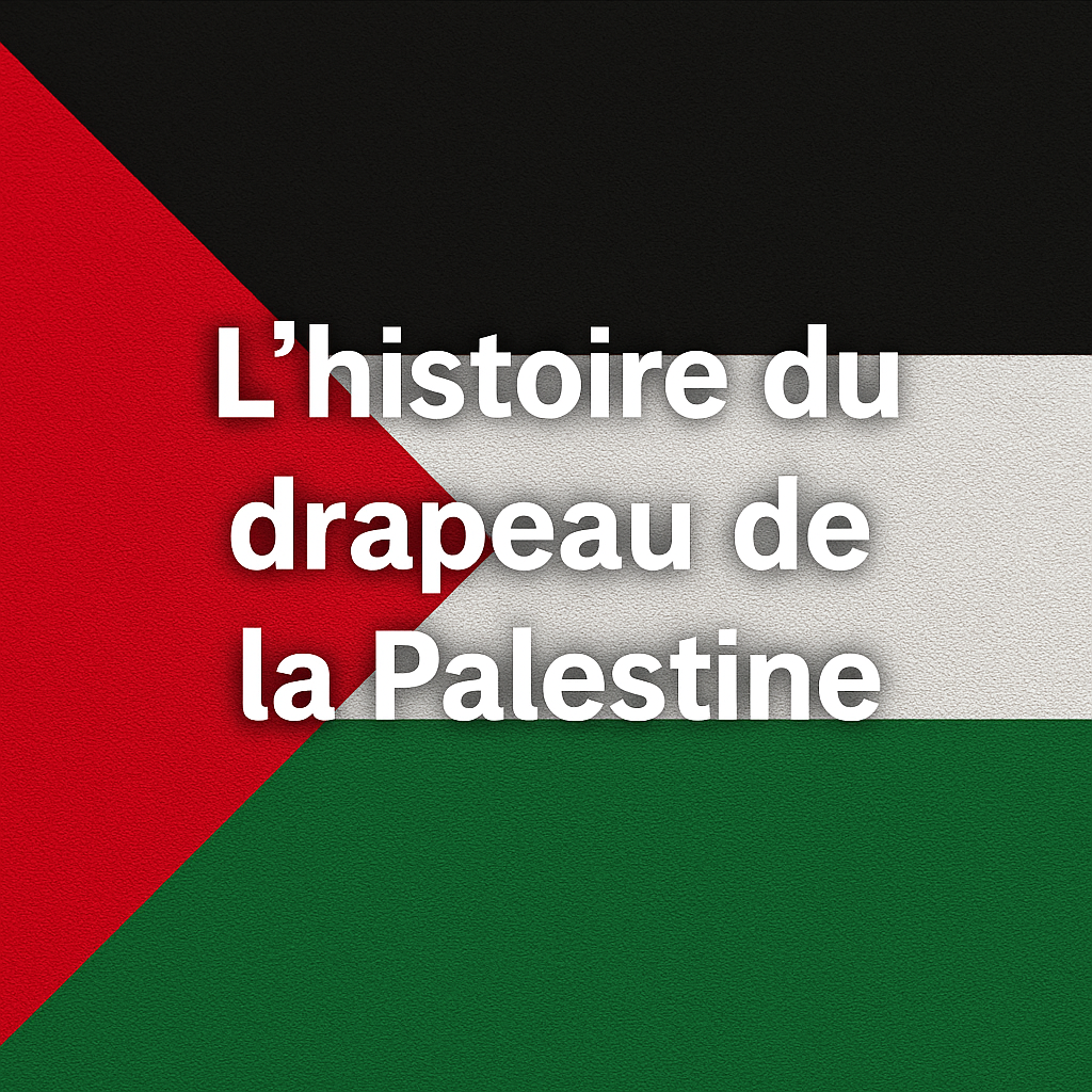 Drapeau de la Palestine : Histoire, Signification et Comparaison