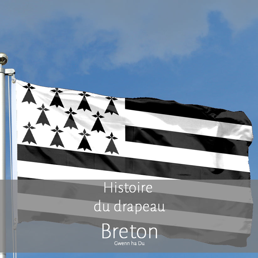 Hermine Bretonne Fierté Du Gwenn Ha Du - Sweat à Capuche Drapeau De Bretagne