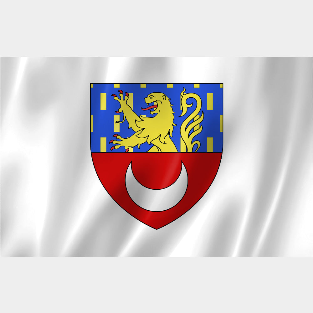 Drapeau de Vesoul – lion d’or sur fond azur et croissant blanc sur rouge