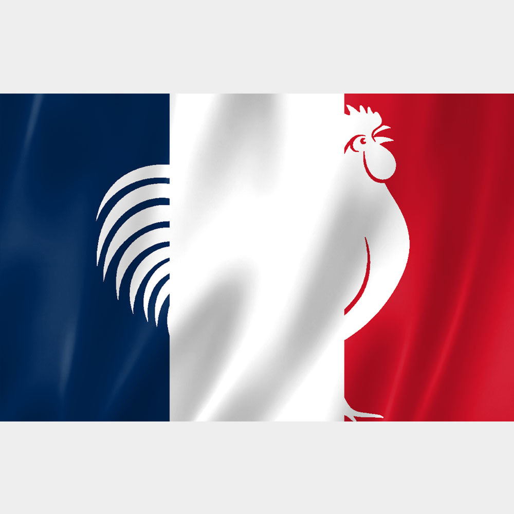 Drapeau tricolore bleu blanc rouge avec coq gaulois