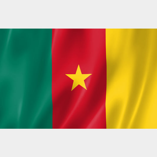 Drapeau du Cameroun vert rouge jaune avec étoile flottant au vent