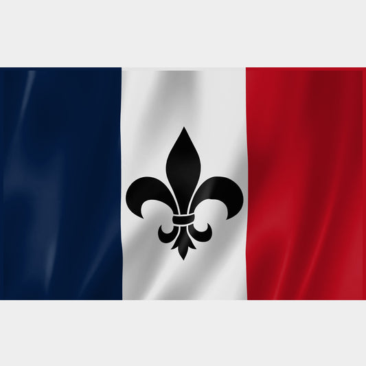 Drapeau français tricolore avec fleur de lys noire – polyester léger avec œillets