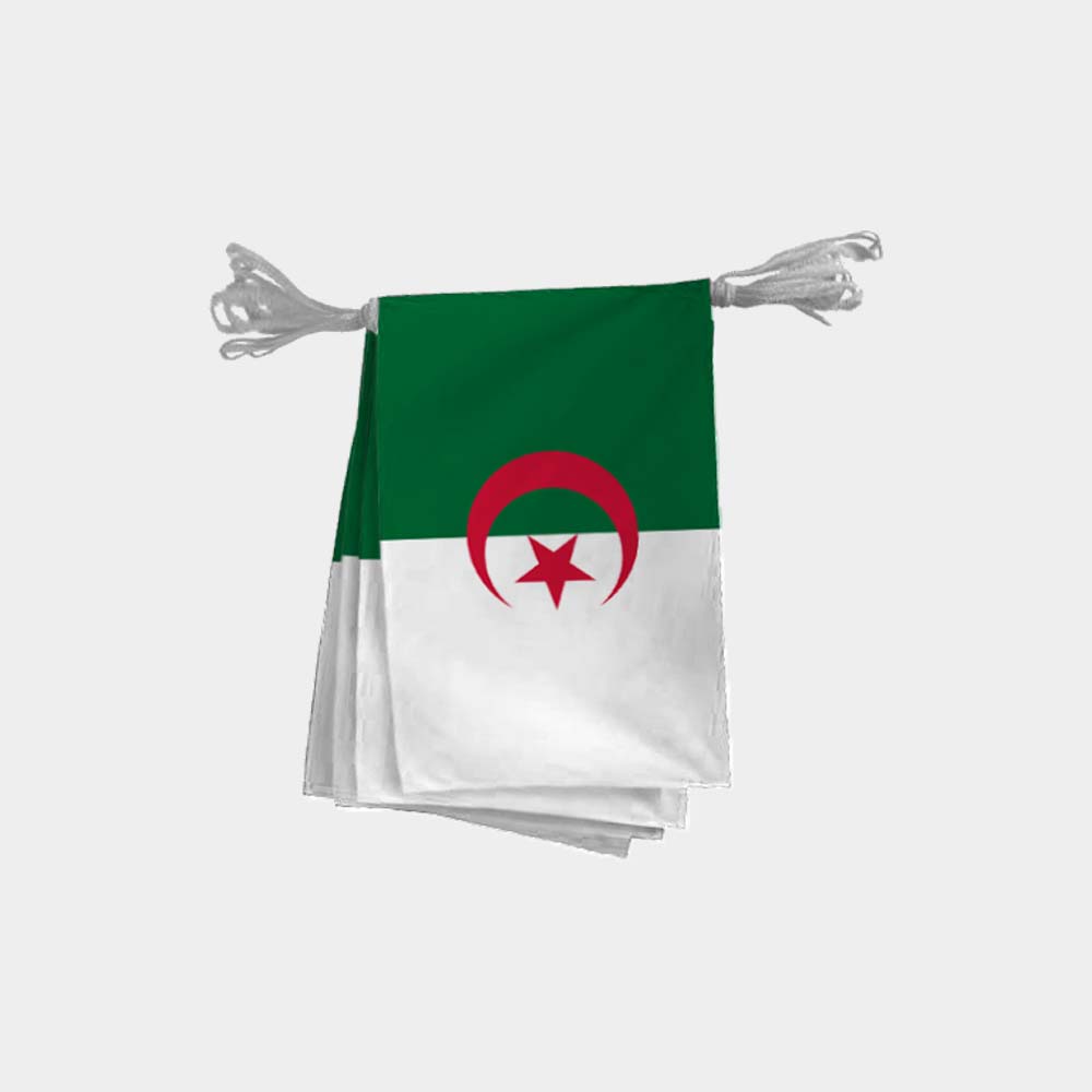 Guirlande de drapeaux d’Algérie 15x21 cm – 6 à 10 m, polyester vert blanc rouge avec croissant, usage extérieur ou événement algérien