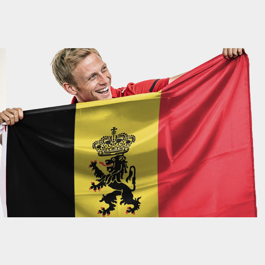 Drapeau de la Belgique avec lion noir couronné au centre – version monarchique et officielle sur fond noir, jaune, rouge